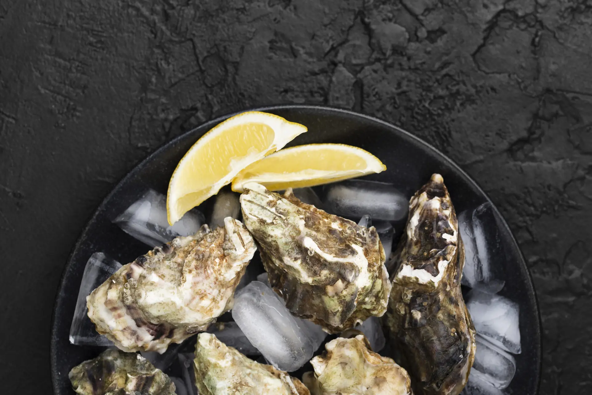 Ston oyster